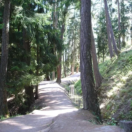Near Lift & Shuttle Veysonnaz